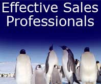 You the effective sales professional