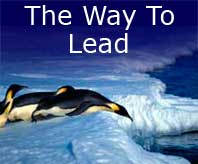 The Way to Lead